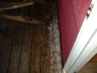 dscf3360_small.jpg