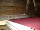 dscf3361_small.jpg
