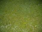 dscf3367_small.jpg