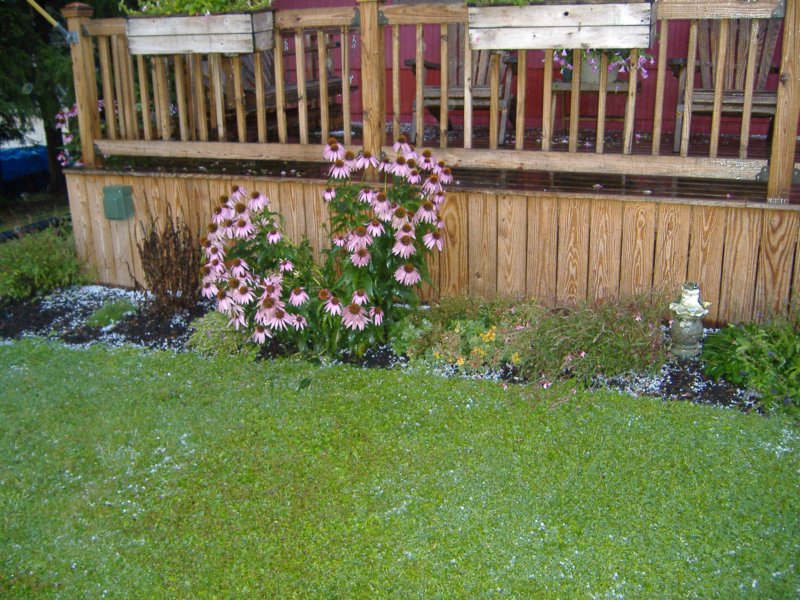 dscf3370.jpg