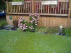 dscf3370_small.jpg