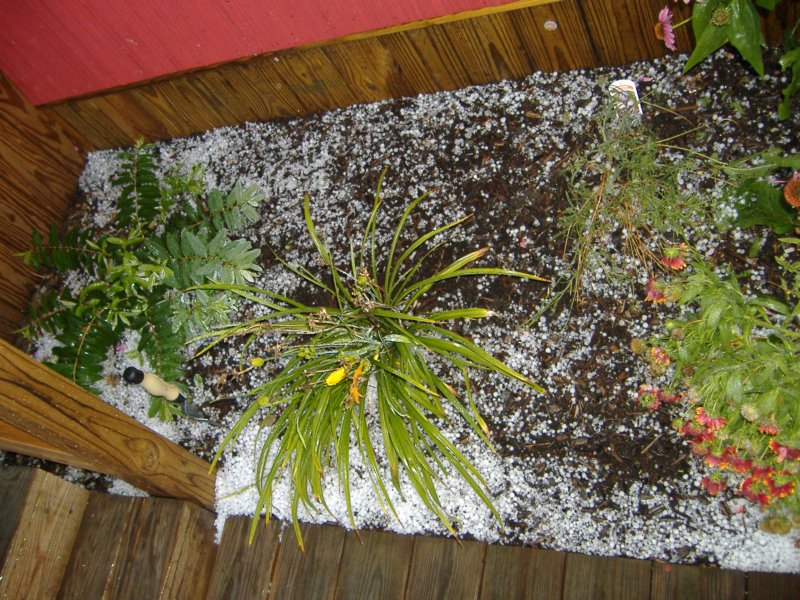 dscf3371.jpg
